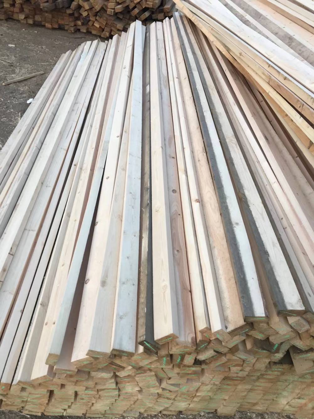 天津建筑木方厂工地木方图片