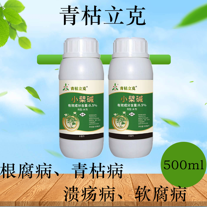 绿色生态农药小檗碱青枯立克番茄种植管理技术
