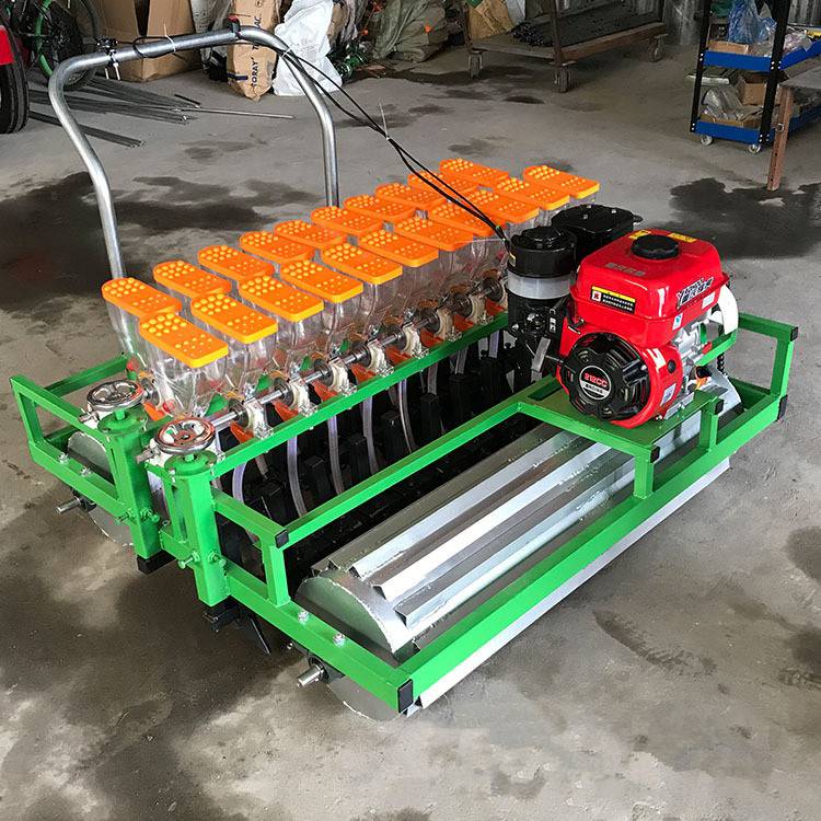 汽油葱籽播种机育苗播种机柴胡播种机