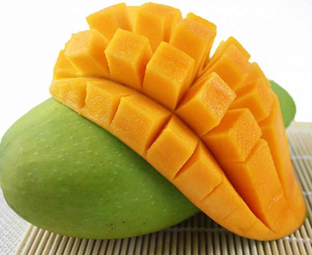 四季蜜芒果树苗批发裸根苗营养杯苗大小规格都有果丰果苗场