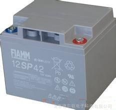 ȫ******12SP42***/***12V42AH/FIAMM