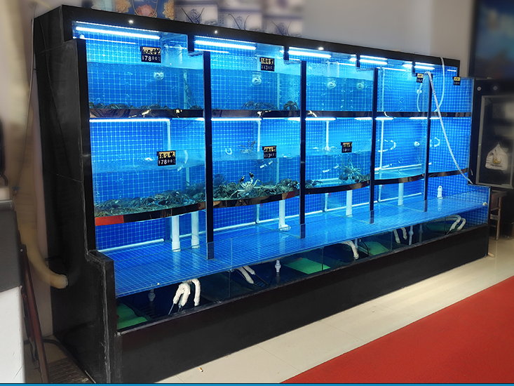 设计海口超白鱼缸哪个牌子好海口皇马假日南洋博物馆酒店烤漆玻璃海鲜