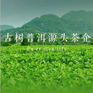 云南青水峰茶业有限公司