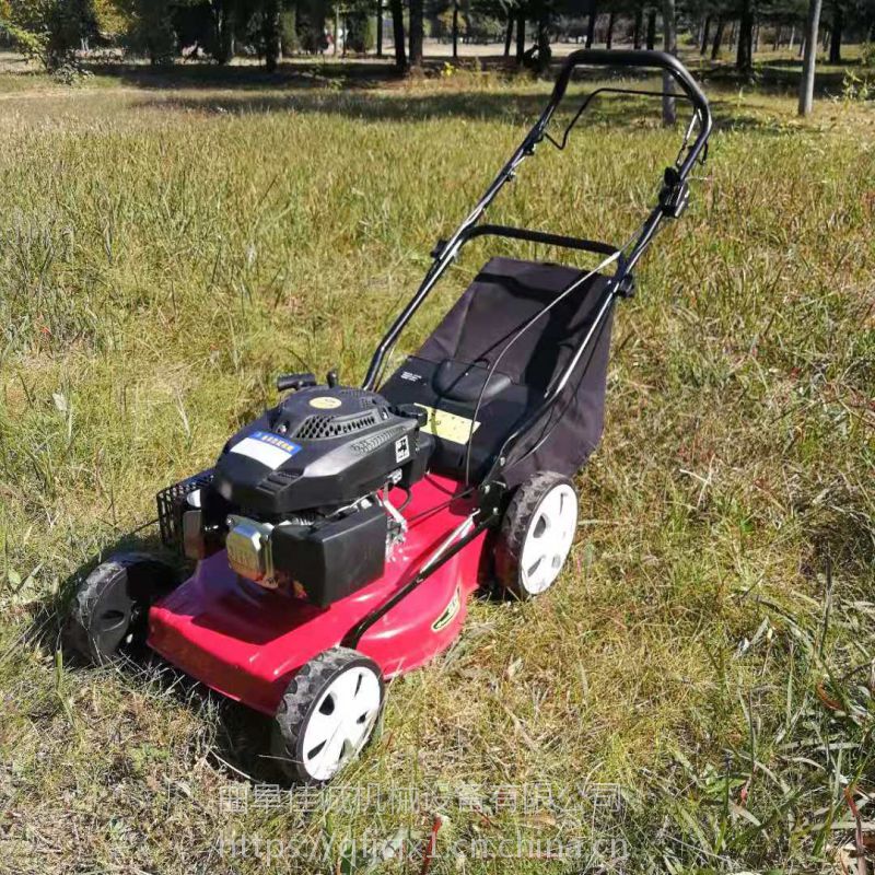 公园草坪修剪草机果园园林绿化手推剪草机修剪机