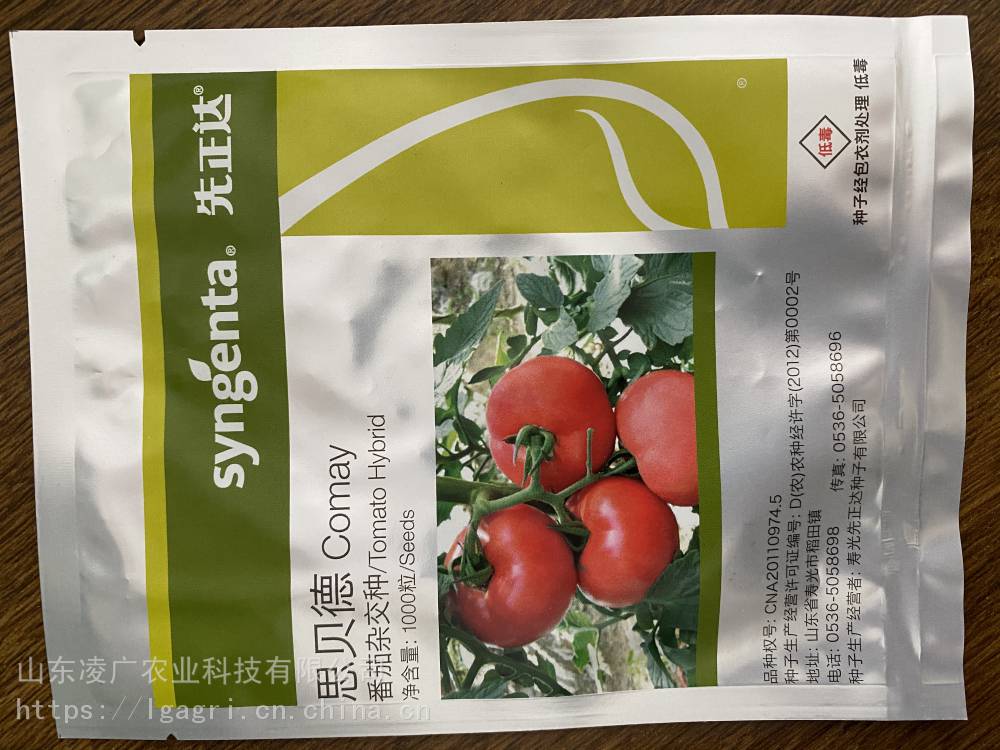 进口原装思贝德番茄种子苗子批发先正达齐达利倍盈瑞菲