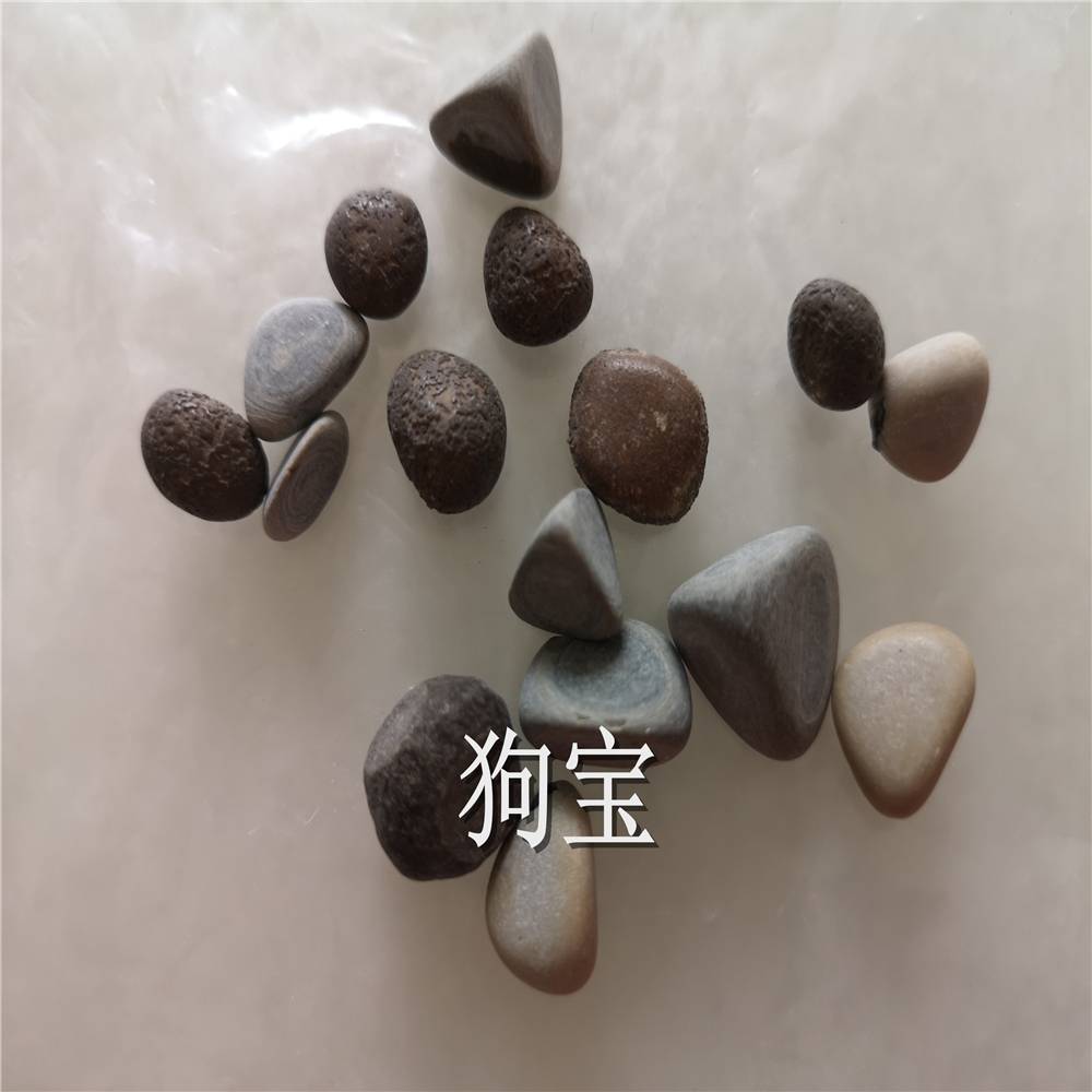 狗宝 中药材狗宝价格 狗宝批发