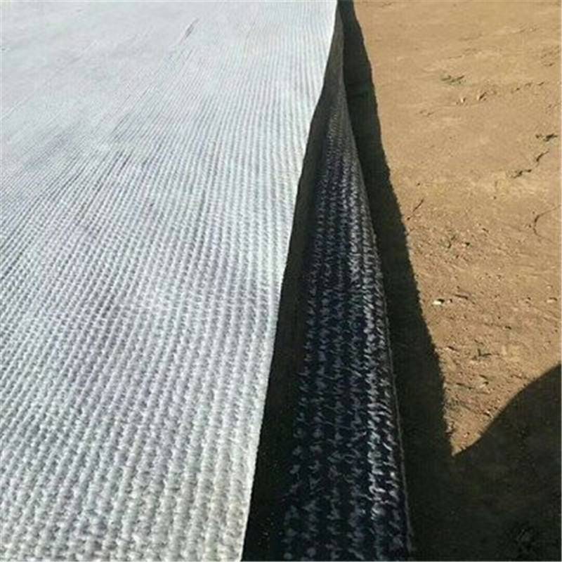 湖南娄底市垃圾填埋湖底防水毯人工湖景观池天然纳基膨润土防水毯