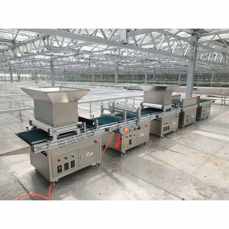 全自动穴盘播种机农用种子播种流水线穴盘育苗播种机种子育苗机