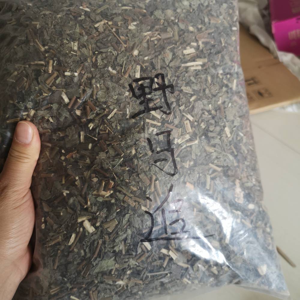 中药野马追野马追批发