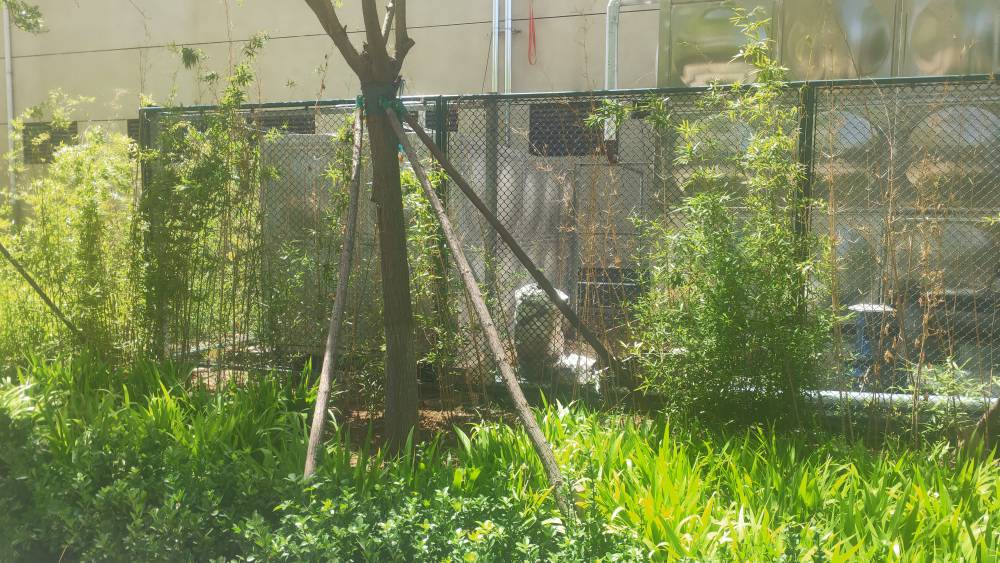 专业太阳能热水工程