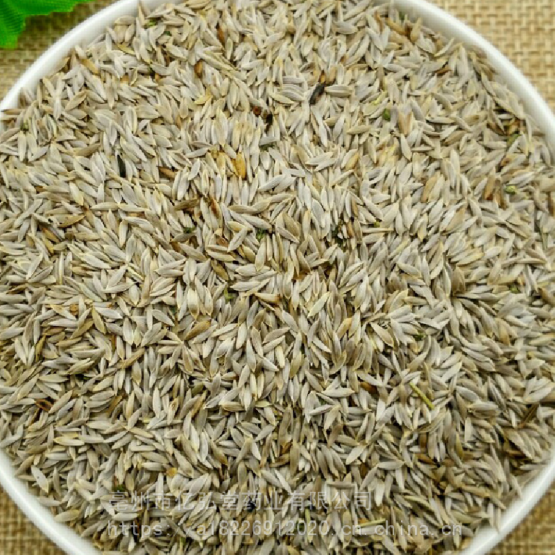 中药材莴苣子功效作用苣蕂子白苣子生菜子白巨胜子白苣胜子