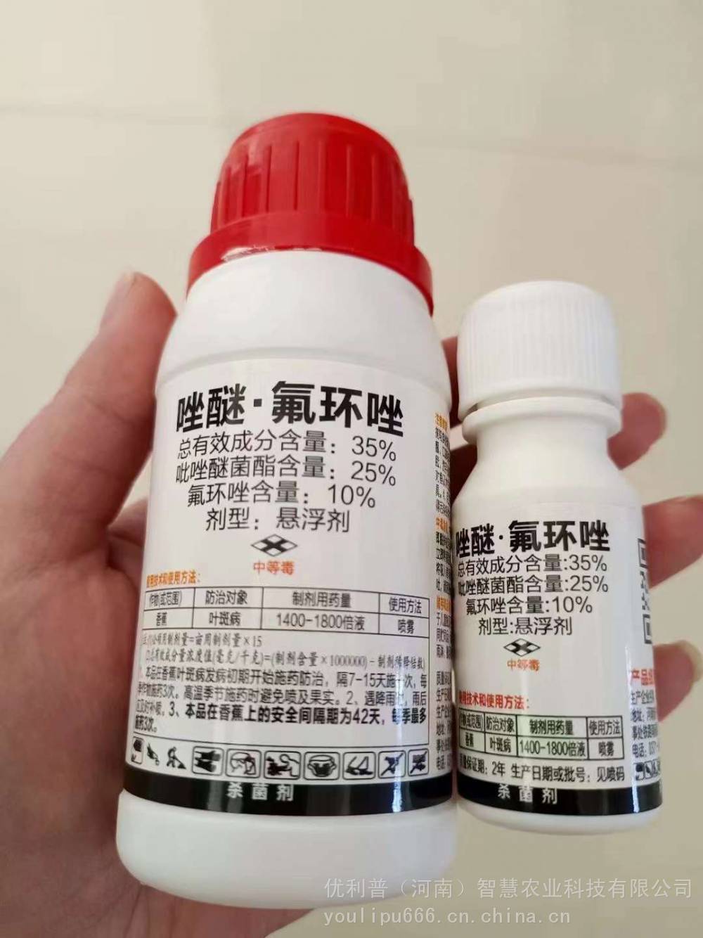 花生叶斑病如何更好的花生叶斑病解决方案