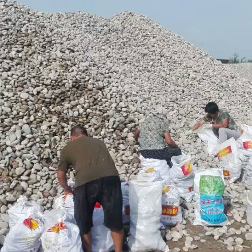机制鹅卵石 变压器用鹅卵石 5-8厘米鹅卵石 大卵石