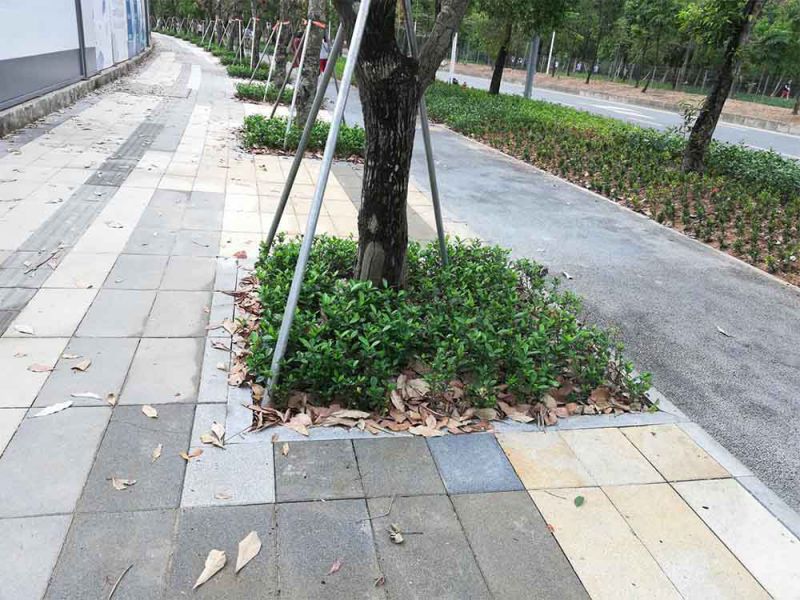 市政石材厂家提供品牌树围石树池石树坑石加厚型真实报价