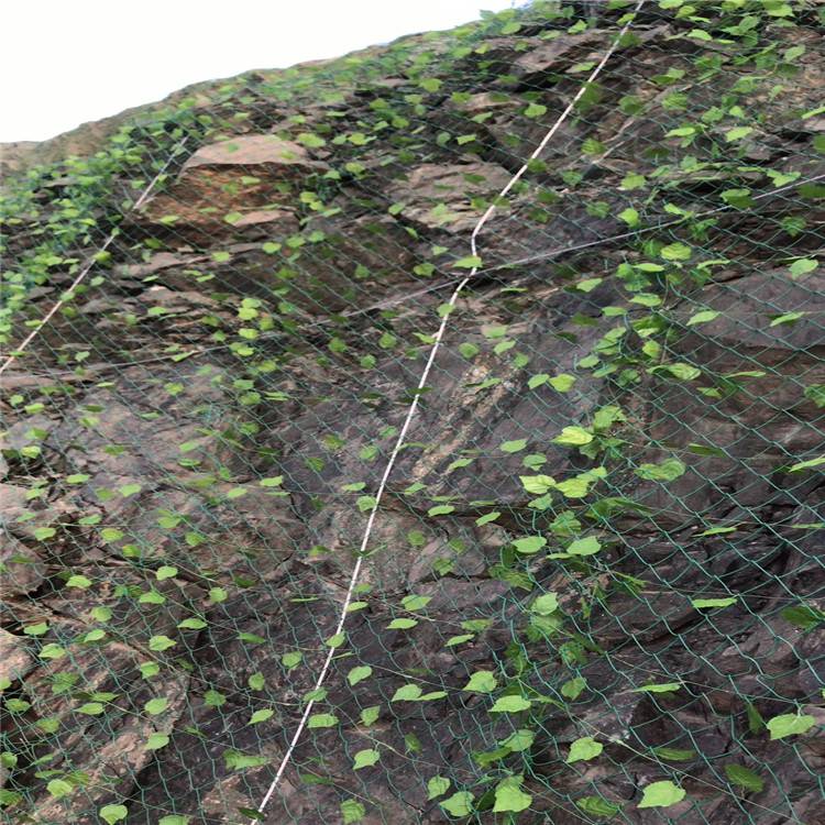 阳泉矿山复绿边坡防护网高边坡绿化喷播挂网喷浆网种草网护坡网厂家