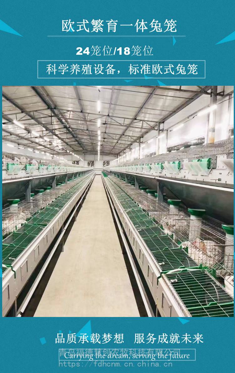 养兔子伊拉兔兔子笼具繁育子母笼欧式兔笼双层