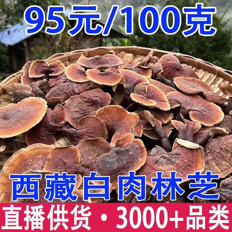 灵芝 西藏白肉灵芝 白肉灵芝 一件代发