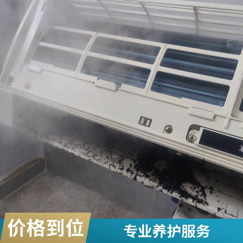石家庄市鹿泉区高压高温家电清洗机油烟机空调洗衣机商用家政多功能蒸汽清洁机