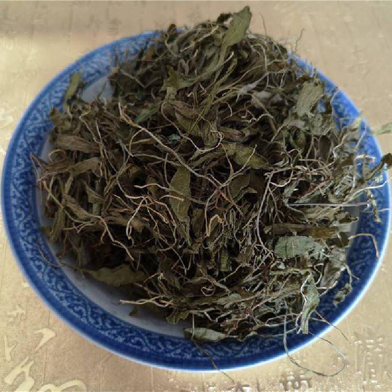 一支箭药用什么价值青藤蛇咬子小青藤小一支箭