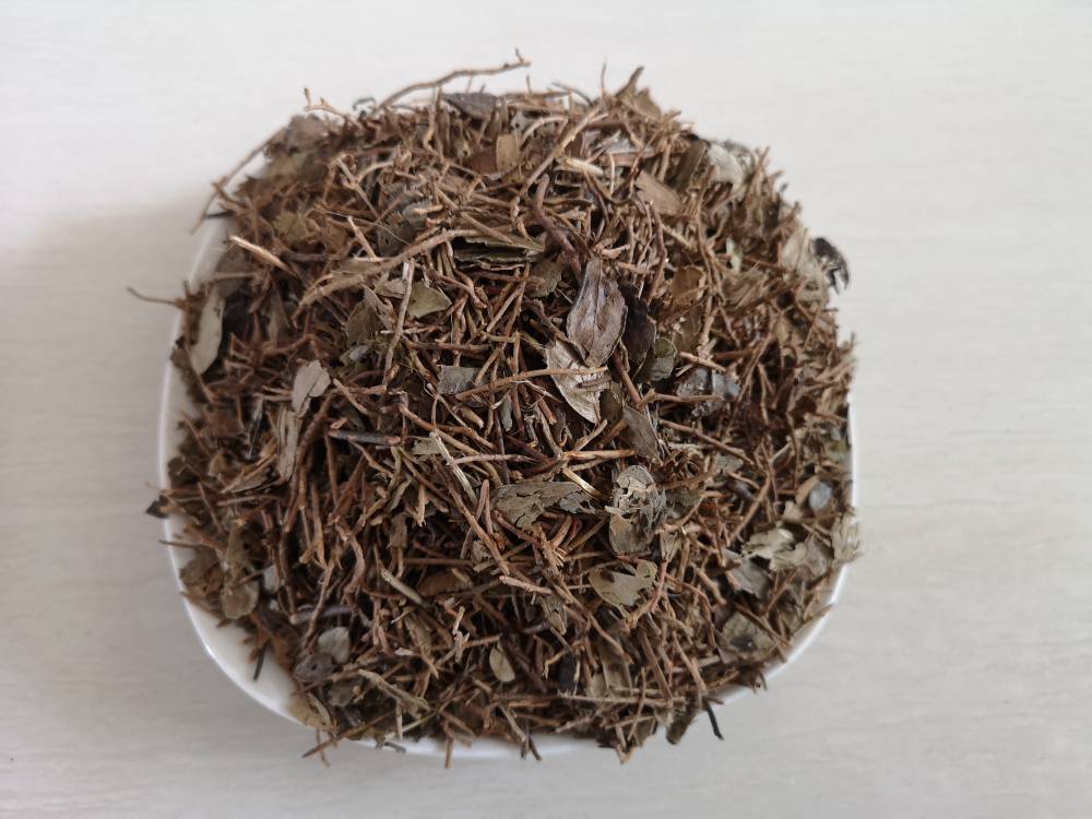 灯盏细辛药用什么价值灯盏草哪里可以购买到多少钱一公斤