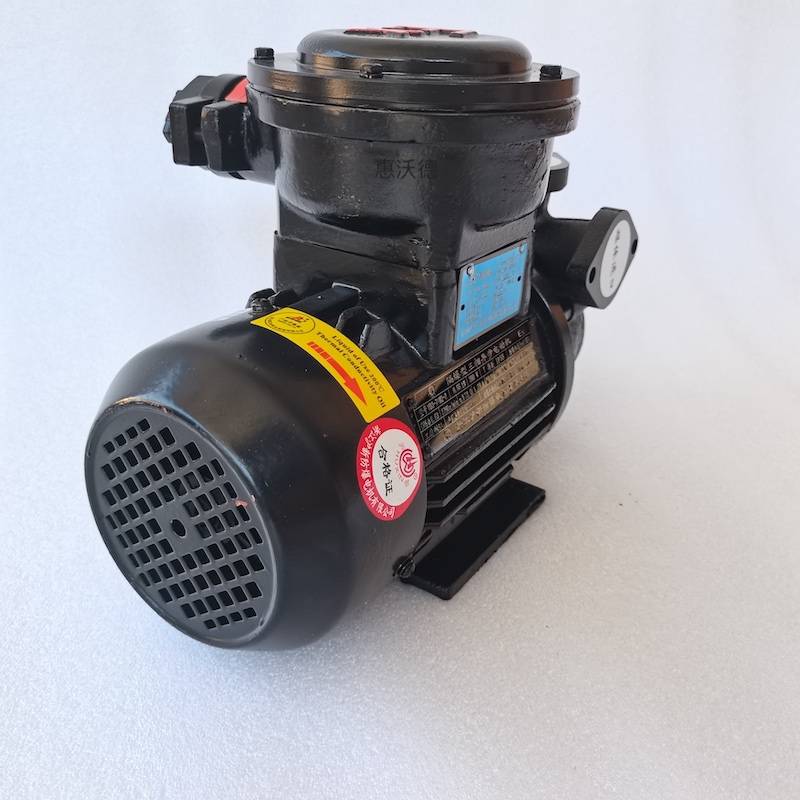 11kw增压泵wd20ex200热油泵200度沃德