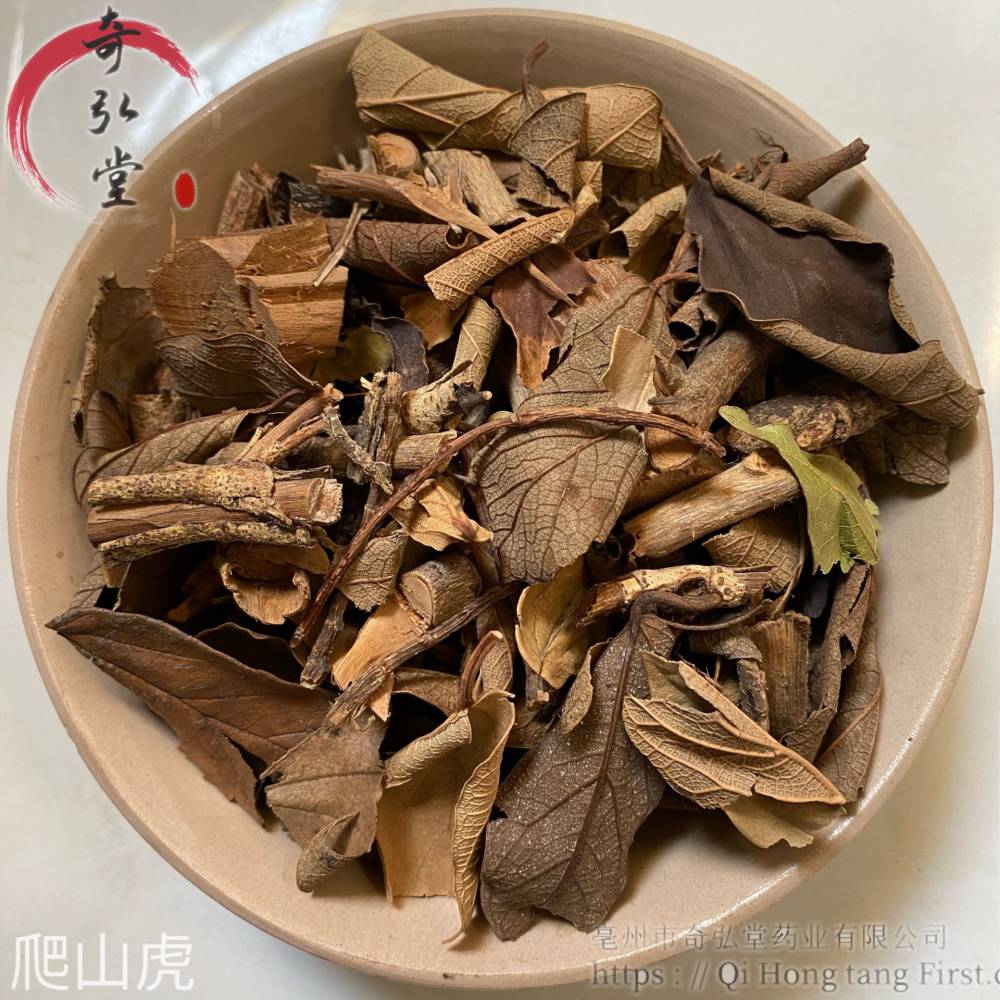 爬山虎中药材爬山虎哪里购买便宜