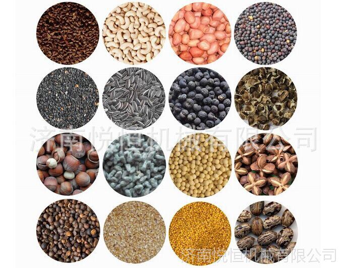 【滨州大豆榨油机 油茶榨油机 花生榨油机设备价格】价格_厂家 - 中国