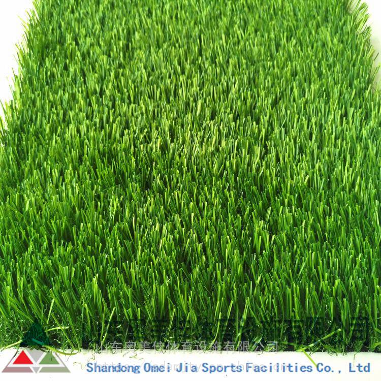 人造草坪 多功能场地人造草坪 5公分人造草