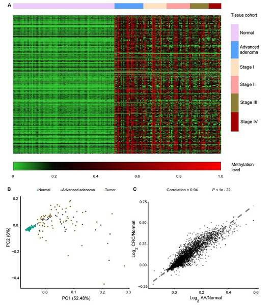 Figure 3. Characterization of the tissue DNA methylation landscape.