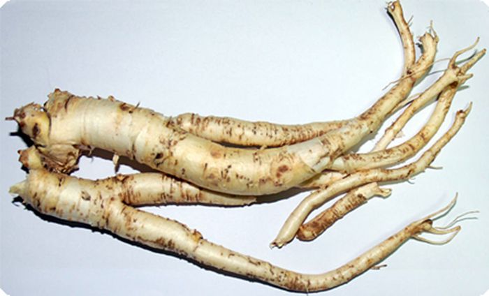 桔梗的亩产是多少桔梗怎样种植价格低适应东北种植