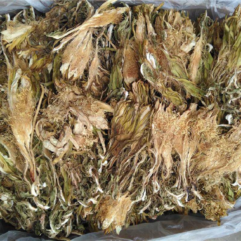 中藥材霸王花的功效霸王花的藥用價值霸王花價格多少一公斤中藥材批發