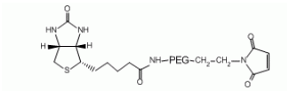 Biotin-PEG-Mal 生物素聚乙二醇马来酰亚胺