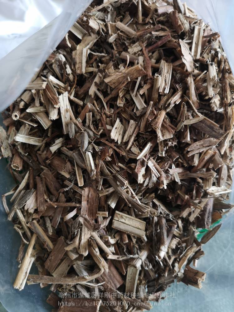 雪里见购买中药材雪里见半截烂躲雷草图片