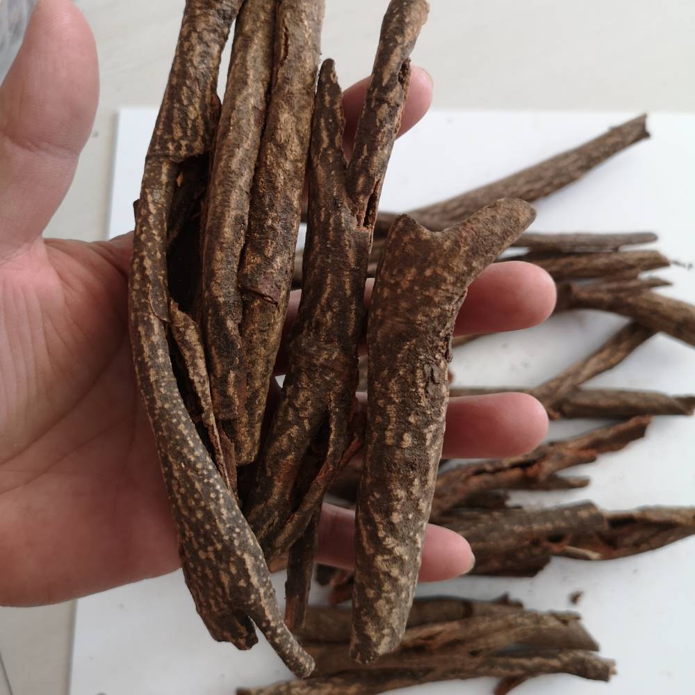 中药藤杜仲野生藤杜仲红杜仲功效