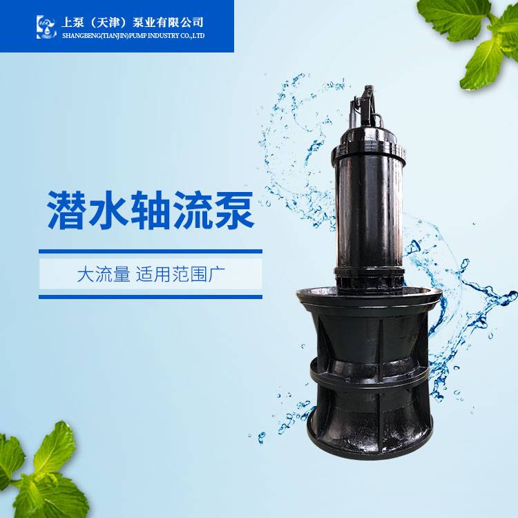 浮筒式安装700QZB潜水轴流泵-天津上泵泵业有限公司