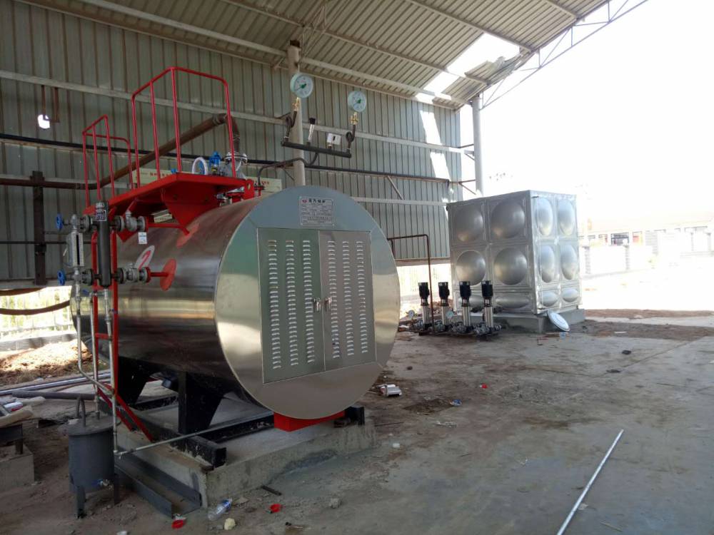 颗粒发泡酒厂酿酒电蒸汽锅炉