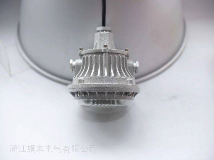 LED防爆灯JR-FB007-C30 30W半球型工厂照明灯 护栏立杆防水防尘灯