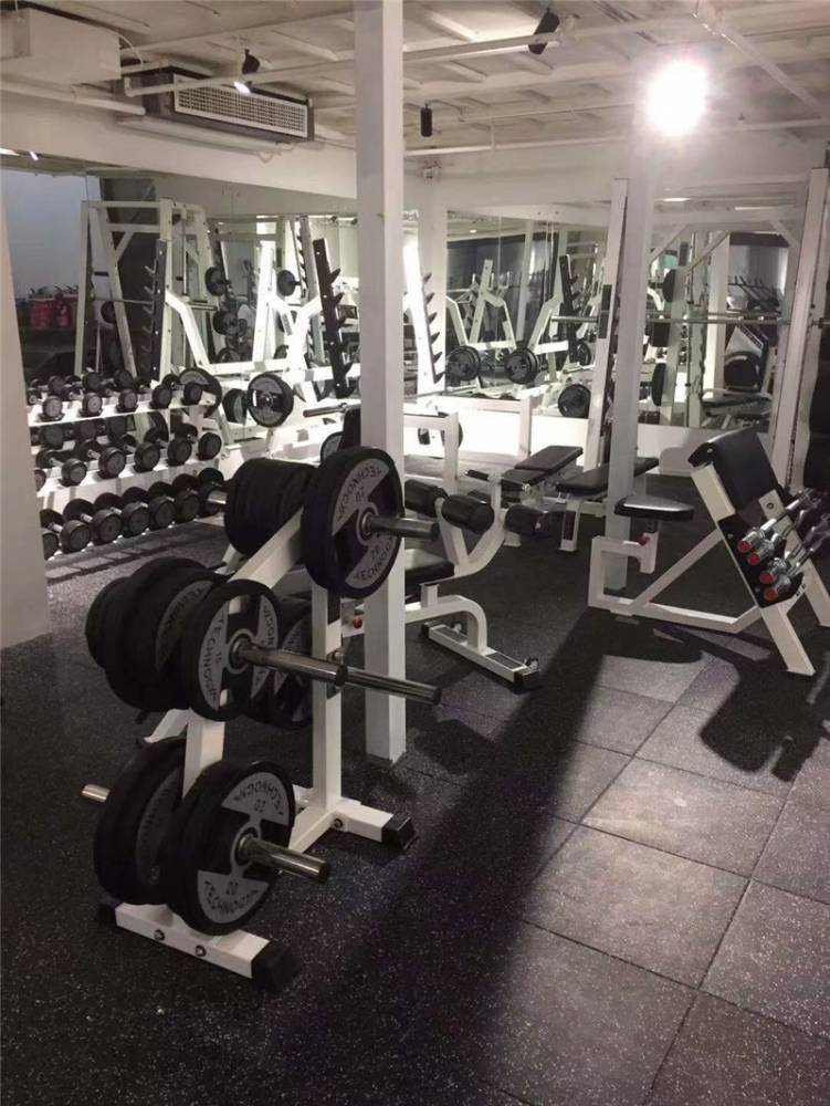 稳定的 商业健身器材 室内健身器材价格/报价