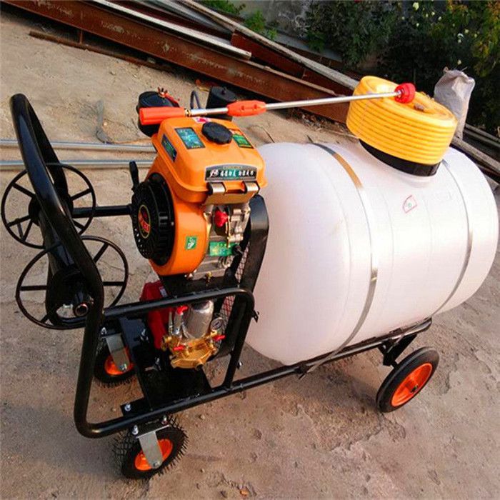 泰安园林筑牢植物“健康防地”