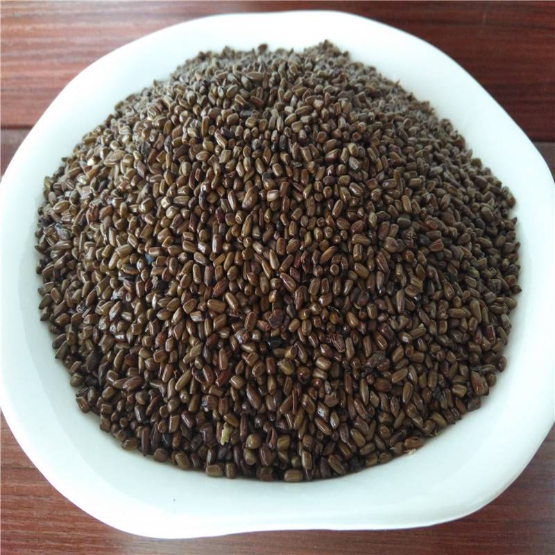 野生列明子批发价格决明子的功效