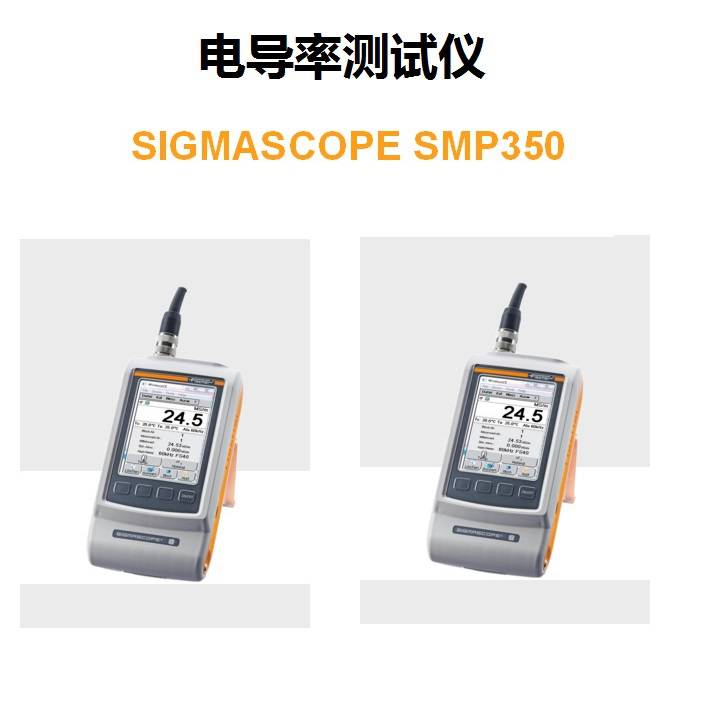 Fischerϣ  絼ʲ SIGMASCOPE SMP350 ̽ͷFS40