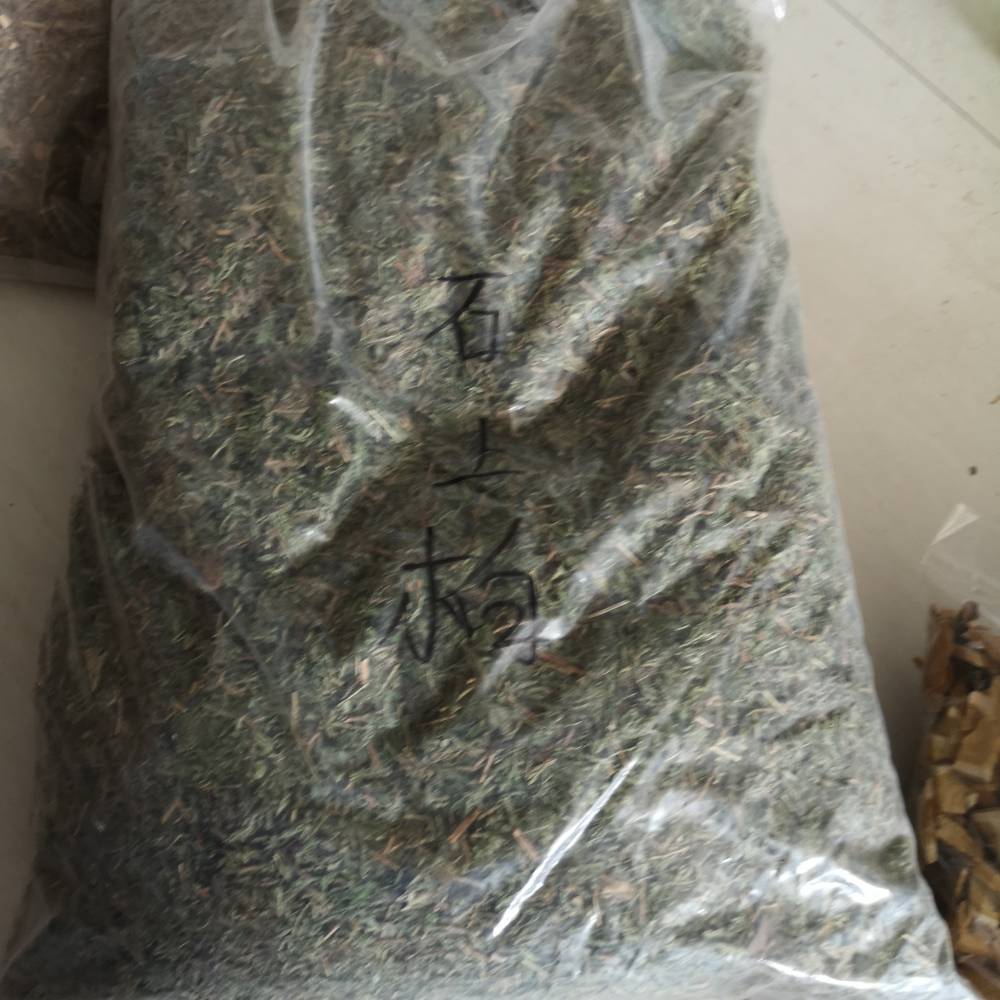 供应梭罗草产地批发梭罗草