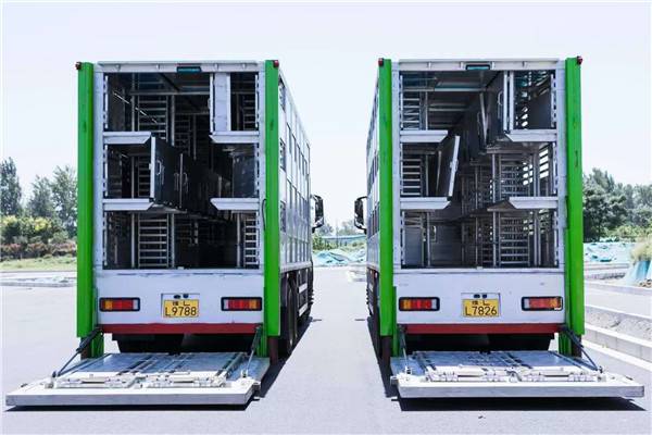9米6畜禽运输车活牛运输车猪鲜活禽运输车