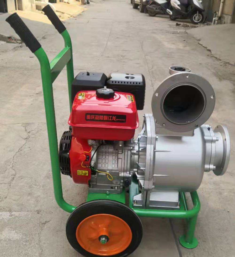 【6寸电启动污水泵手推轻便汽油自吸泵高扬程浇地抽水泵】视频介绍