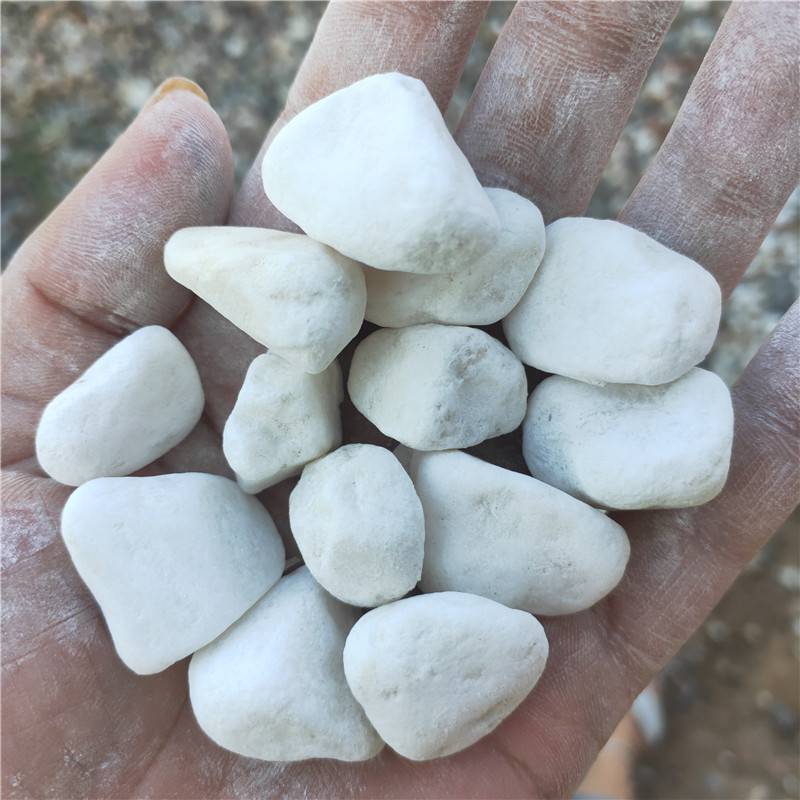 供应白色鹅卵石新余2-3公分鹅卵石
