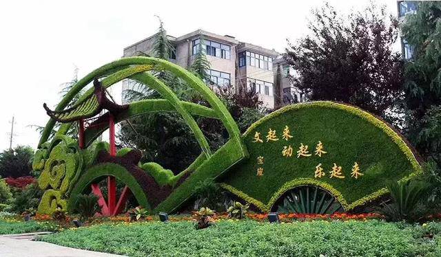 陕西延安菊花造型摆件真植物绿雕生产厂家