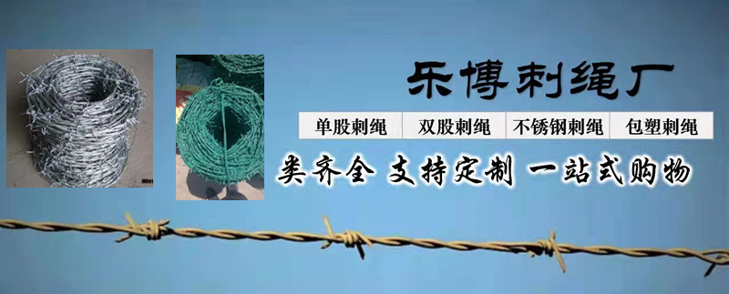 安平县乐博金属丝网制品有限公司