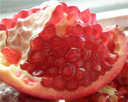 嫁接苗无籽水晶石榴苗优良高产的无籽水晶石榴苗