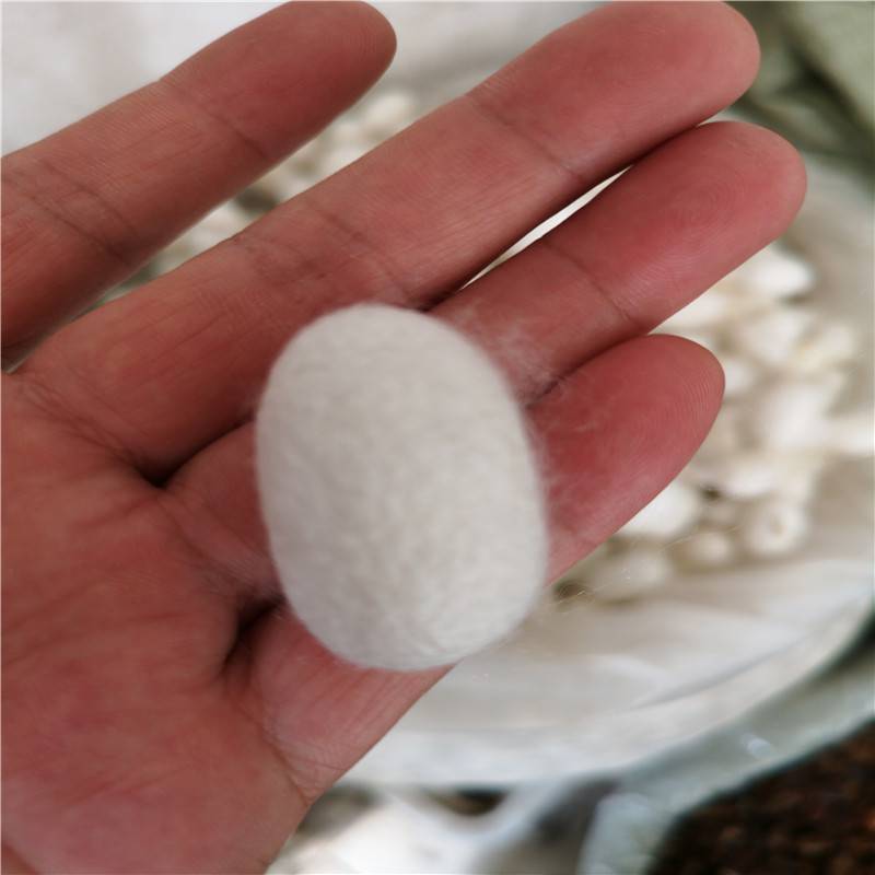 中药材蚕茧批发价格蚕衣批发多少钱一斤