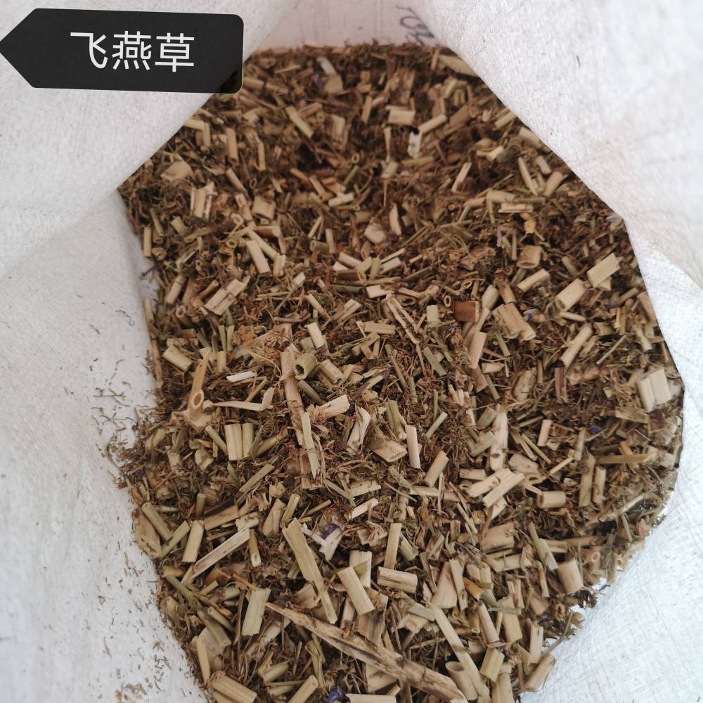 飞燕草飞燕草功效批发飞燕草